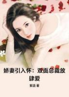 嬌妻引入懷：雙面總裁放肆愛