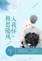 相思隨風(fēng)入我懷