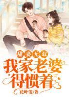 甜妻無雙：我家老婆得慣著