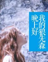 晚上好，我的狼先森