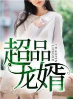 超品龍婿