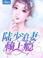 陸少追妻賴上癮