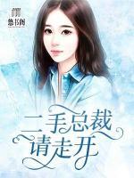二手總裁請(qǐng)走開