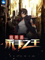 我哥是殺手之王