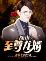都市至尊龍婿