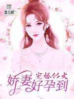 寵婚似火：嬌妻，好孕到！