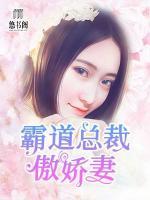 霸道總裁傲嬌妻