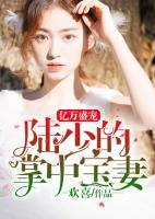 億萬盛寵：陸少的掌中寶妻