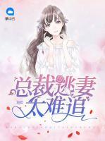 總裁逃妻太難追
