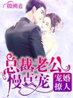 寵婚撩人：總裁老公慢點(diǎn)寵