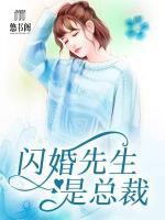 閃婚先生是總裁
