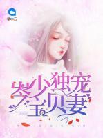 岑少獨寵寶貝妻