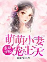 蜜婚成癮：萌萌小妻寵上天