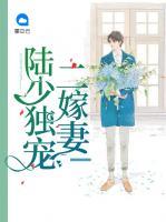 陸少獨(dú)寵二嫁妻