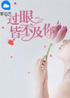 過眼皆不及你