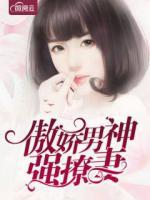 傲嬌男神強撩妻