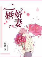 二婚嬌妻