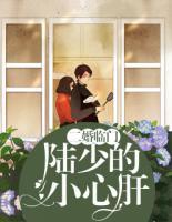 二婚臨門：陸少的小心肝