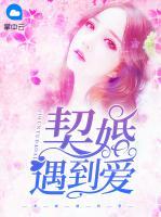 契婚遇到愛