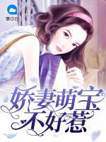 嬌妻萌寶不好惹