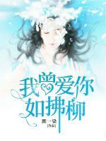 我曾愛你如拂柳