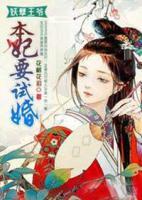 妖孽王爺，本妃要試婚