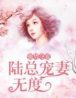 強(qiáng)勢(shì)奪愛：陸總寵妻無(wú)度
