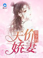 賀少的天價嬌妻