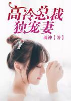 高冷總裁獨(dú)寵妻