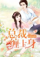 時來運轉(zhuǎn)：總裁纏上身