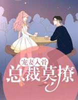 寵妻入骨：總裁莫撩