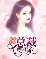 嬌妻入懷：總裁哪里跑