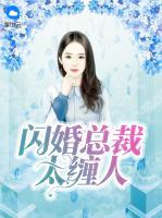 閃婚總裁太纏人