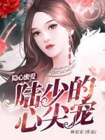 隱心蜜愛：陸少的心尖寵