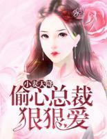 小妻天降：偷心總裁狠狠愛