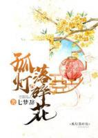 孤燈落碎花