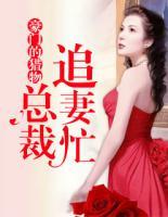 豪門(mén)的獵物：總裁追妻忙