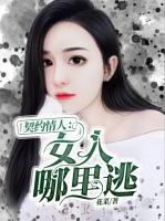 契約情人：女人哪里逃