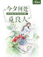 今夕何處覓良人