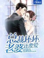 總裁壞壞，老婆還要愛(ài)