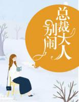 別鬧，總裁大人