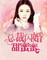 總裁閃婚甜蜜蜜