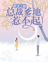 撩妻上癮：總裁爹地惹不起