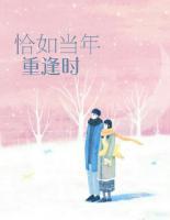 恰如當(dāng)年重逢時(shí)