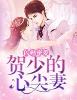 閃婚蜜愛：賀少的心尖妻