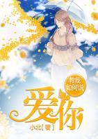 教我如何說愛你