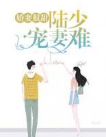 嬌妻很甜：陸少寵妻難