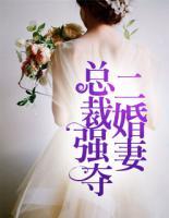 總裁強(qiáng)奪二婚妻
