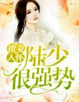 撩妻入懷：陸少很強勢