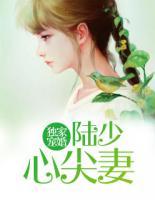 獨家寵婚：陸少心尖妻